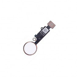 iPhone 7 / 7 Plus Gold Home Button Flex Cable (FOR COSMETIC USE ONLY)
