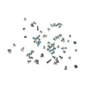 iPhone 6S Full Set Screws Silver